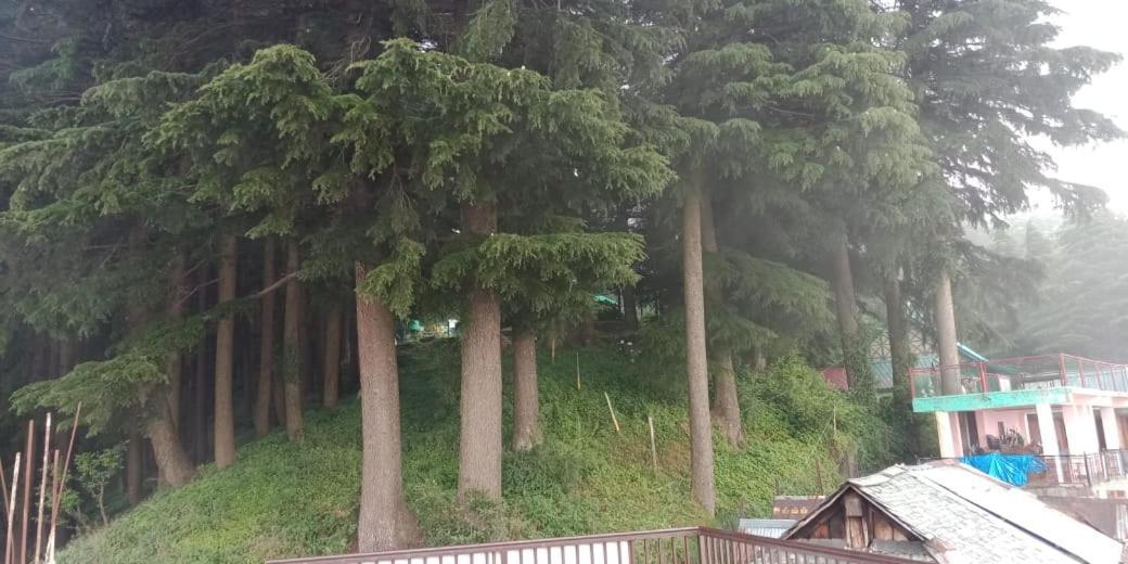 Lāhri Hotel Forest View المظهر الخارجي الصورة